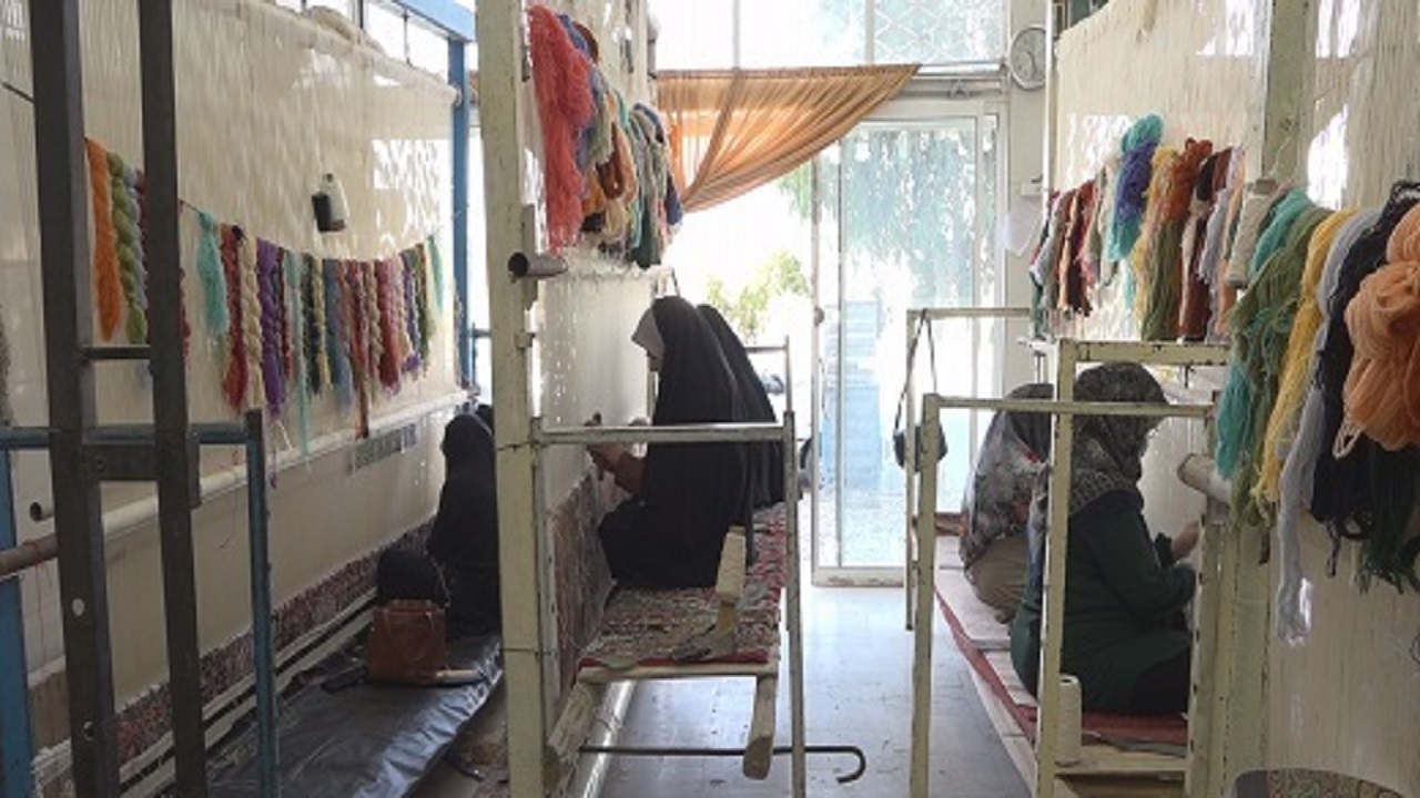 گره عاشقی بر تار و پود فرش