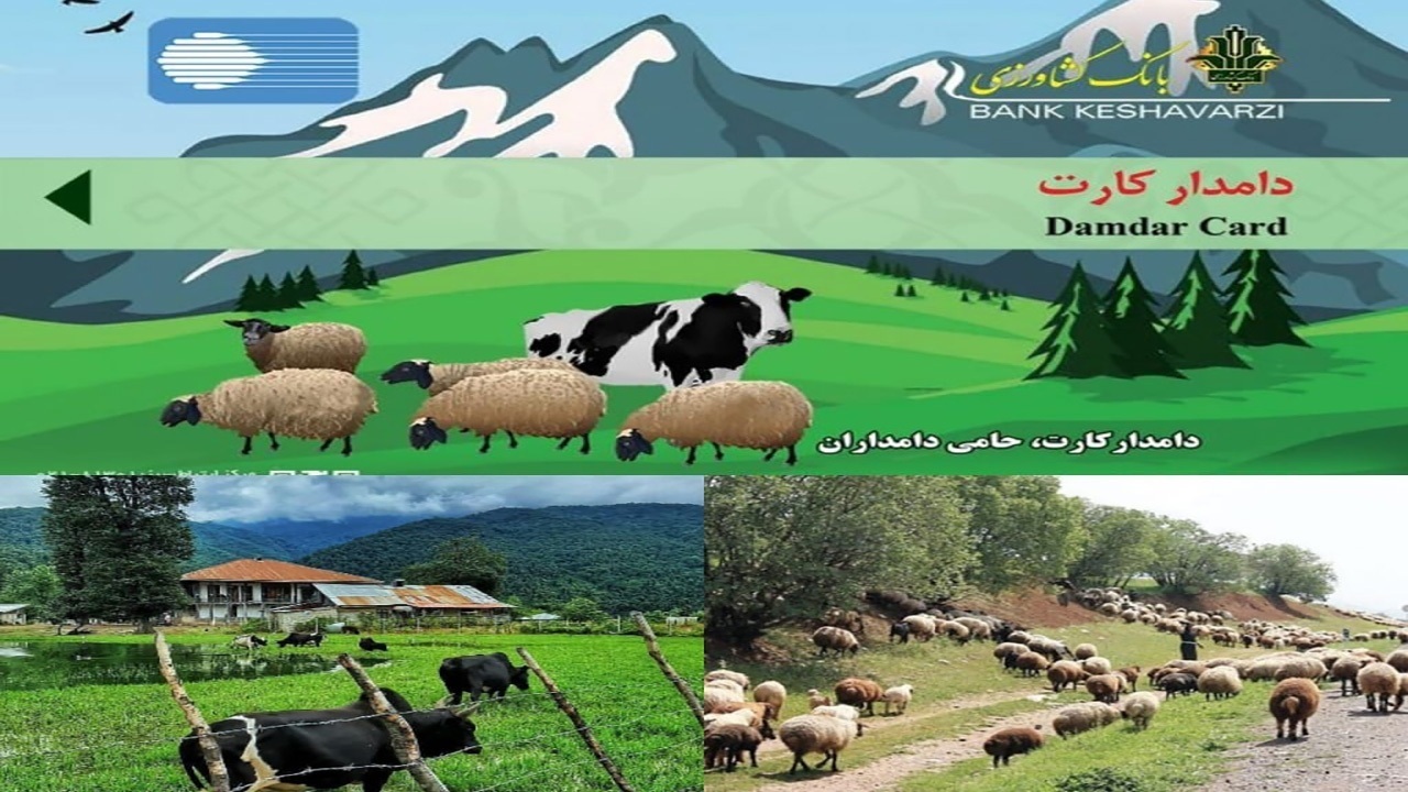 دامداران در انتظار تمدید وام «دامدار کارت»