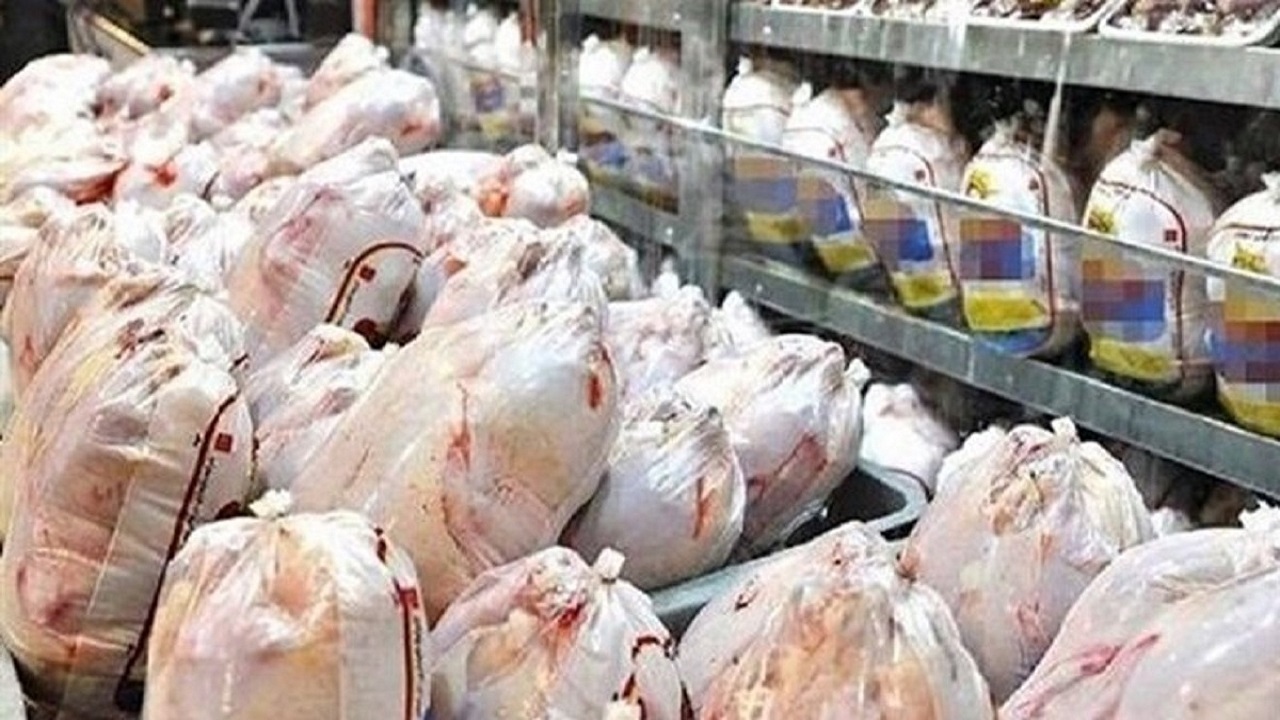 عرضه روزانه ۱۱۶ تن گوشت مرغ گرم در استان قزوین
