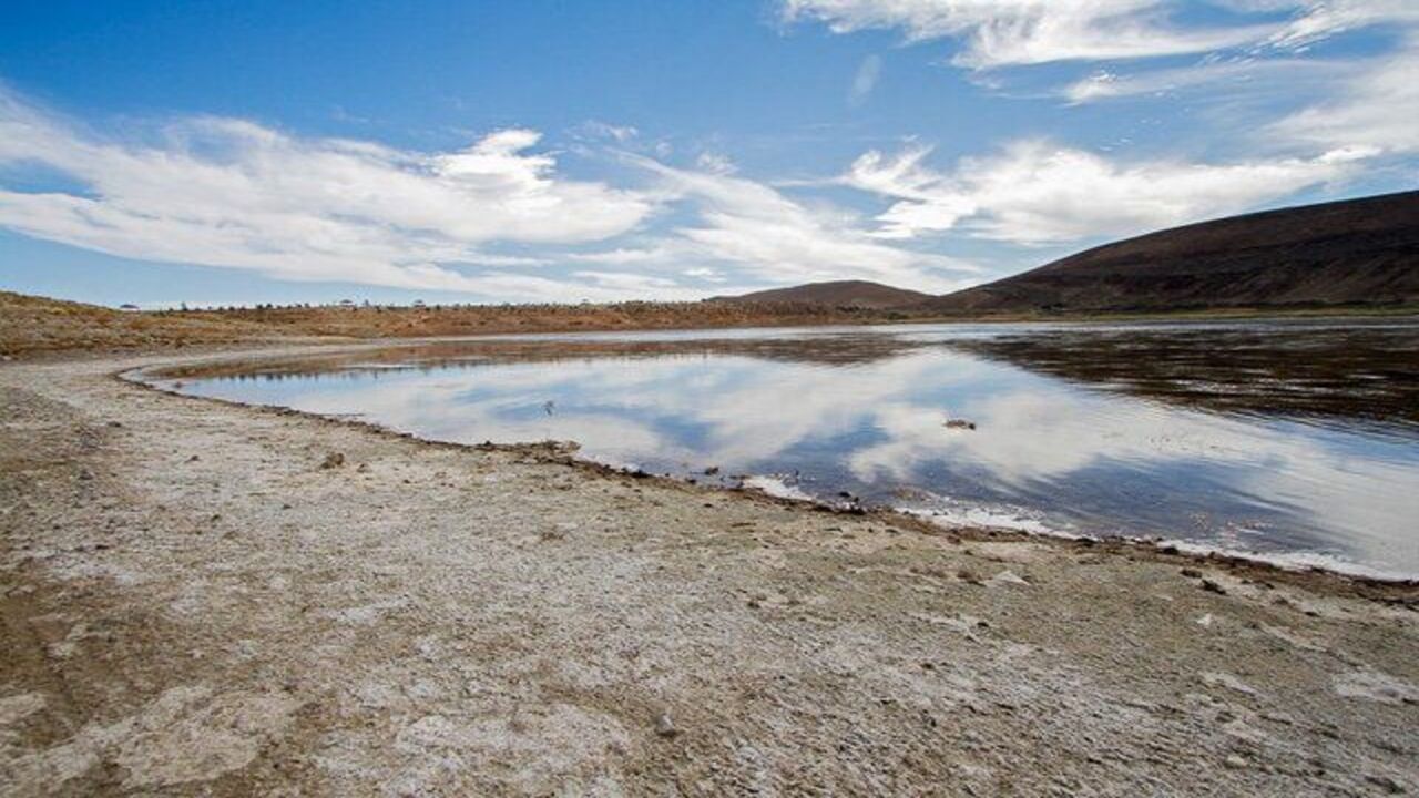 ۳۰ سال حفاظت مستمر / خشکسالی و گرمای بی سابقه هوا، دلیل اصلی خشک شدن دریاچه بزنگان