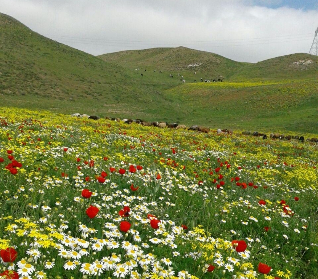 نگاهی به طبیعت روستای افجه در نقطه صفر مرزی ایران + فیلم