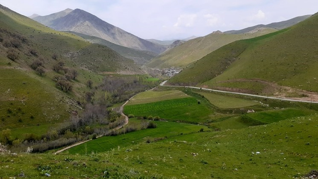 پیچیدن آواز خوش پرندگان در طبیعت روستای سیا اردبیل + فیلم
