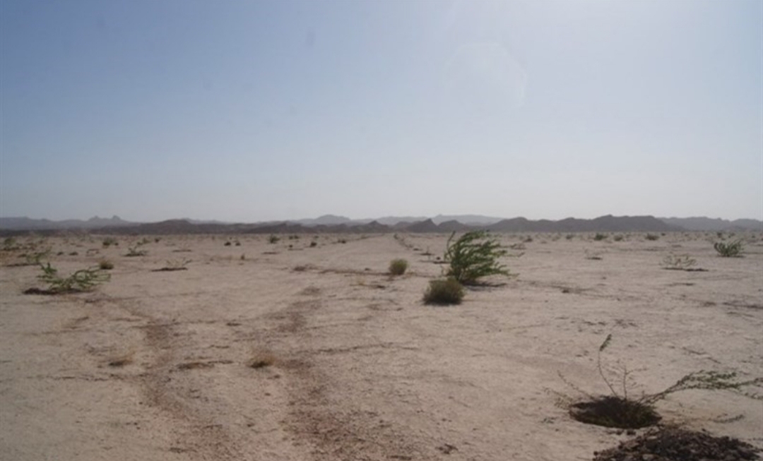 دشت بمرود خراسان جنوبی در آستانه خشکسالی