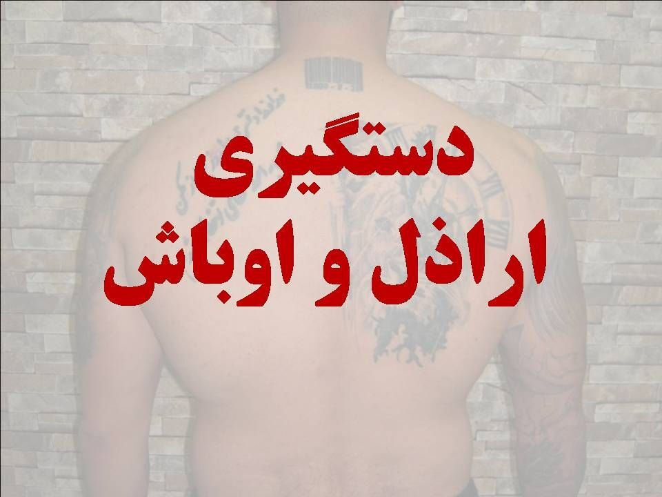 دستگیری سارقان اماکن خصوصی با ۲۴ فقره سرقت در ساوجبلاغ