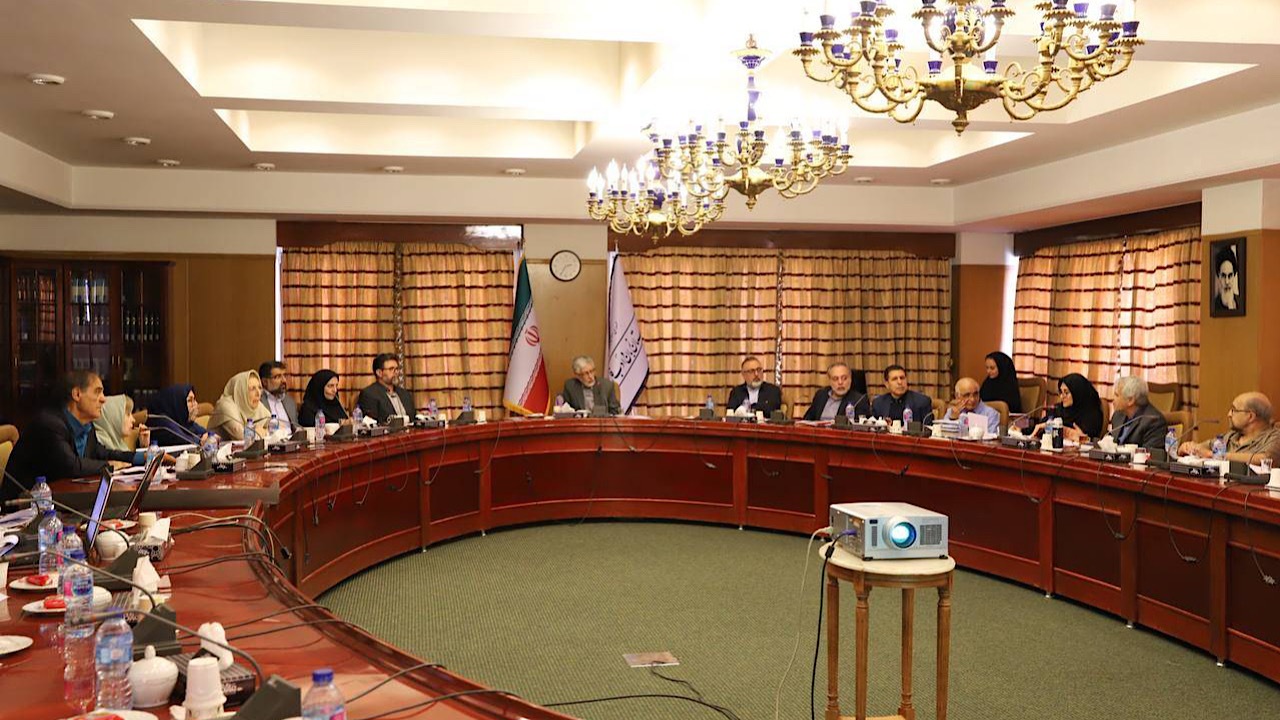 تلاش برای صیانت از زبان فارسی در پویانمایی