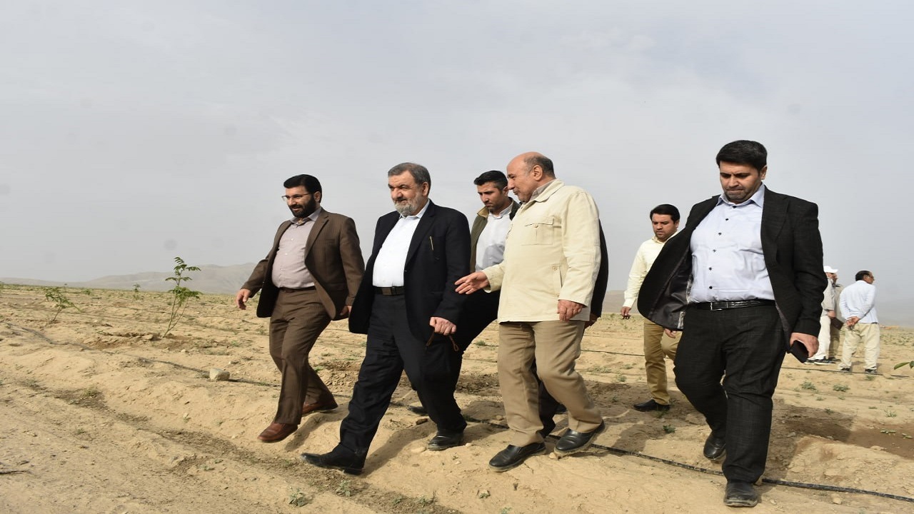 بازدید معاون اقتصادی رئیس جمهور از بزرگترین باغ گردو و پسته کشور