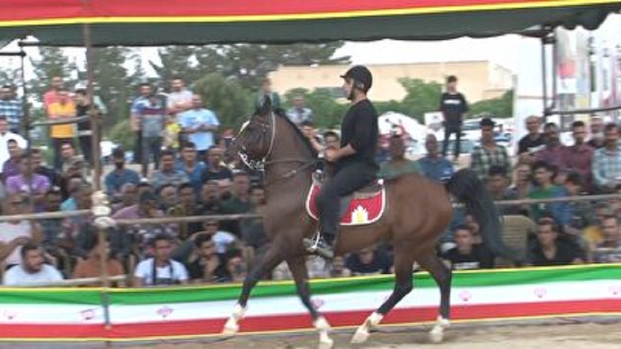 برگزاری جشنواره ملی سوارکاری در زرین شهر
