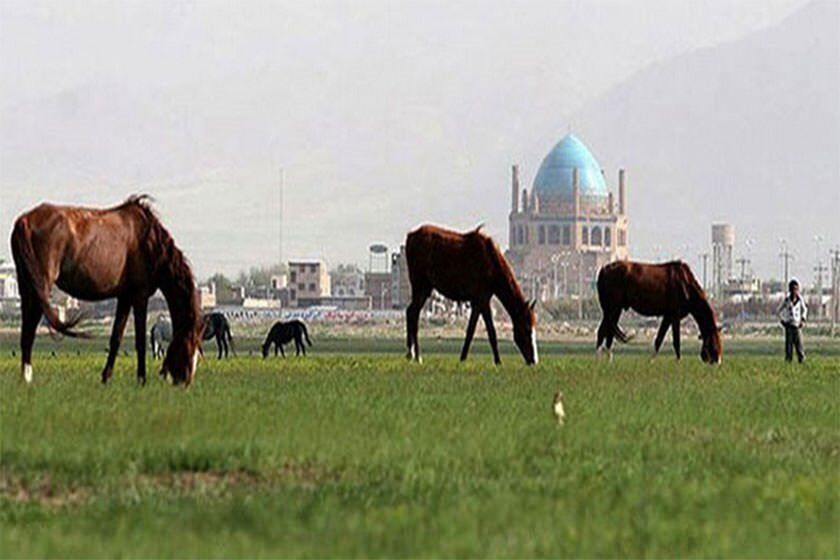 احیای چمن سلطانیه در اولویت برنامه های دولت سیزدهم است