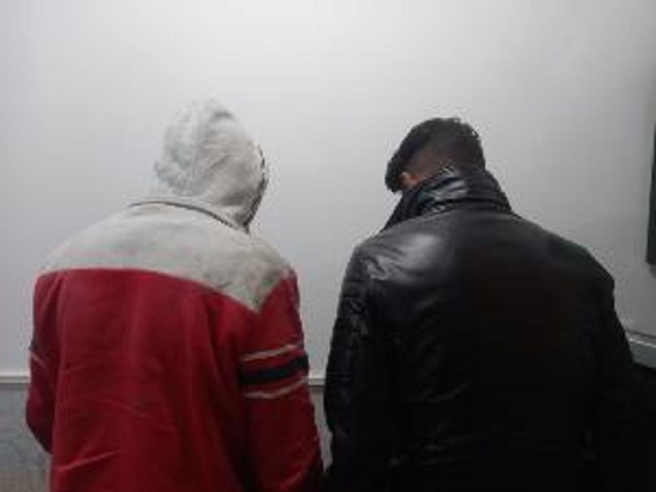 کشف ۲۰۰ راس دام مسروقه در کمتر از ۳ ساعت