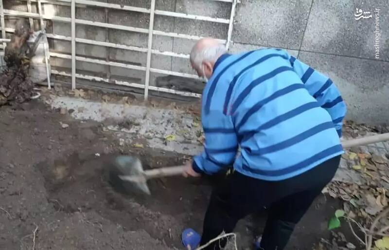 قاتل بهلول و سکانس تلخ شیما +عکس