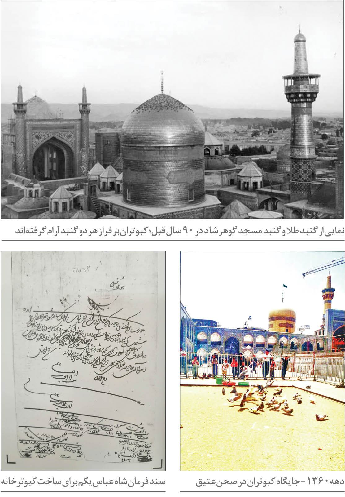 کبوترخانه حرم