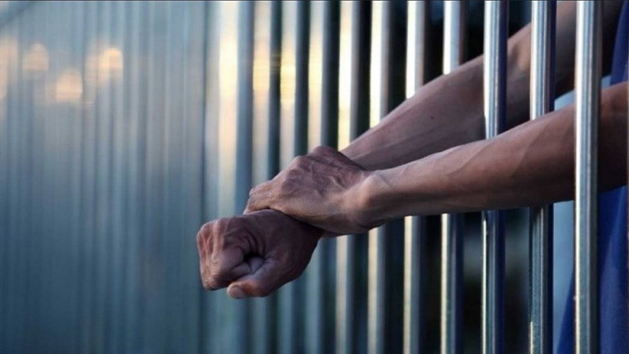 بیش از ۶ ماه حبس تعزیری مجازات حمل غیرمجاز کود مرغی