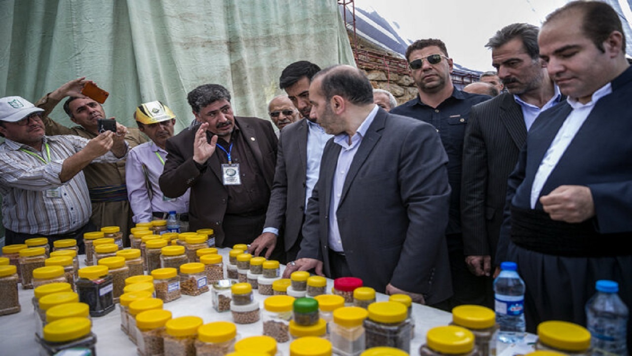 ایجاد صنایع فرآوری یک ضرورت مهم در حوزه کشاورزی