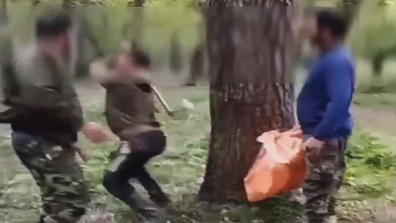 تبرکشی برای نگهبان پارک جنگلی + فیلم