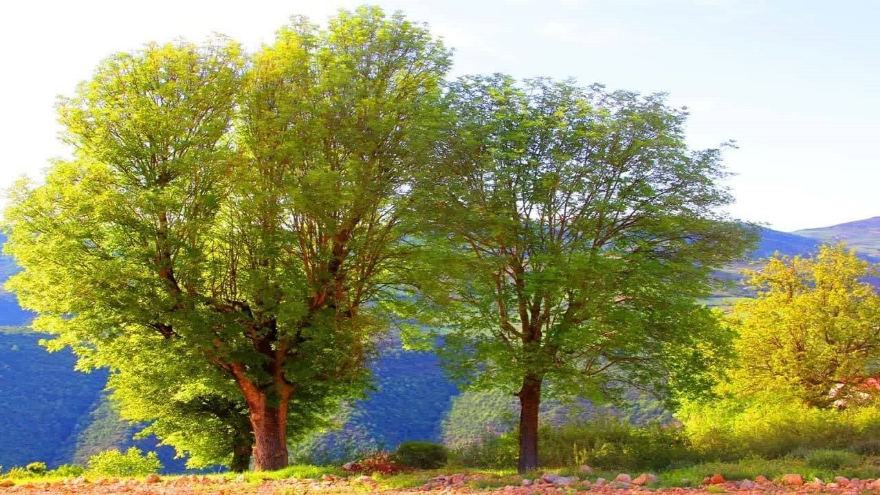 نگاهی به مناظر بکر و چشم نواز روستای لترگاز علیا در قاب تصاویر