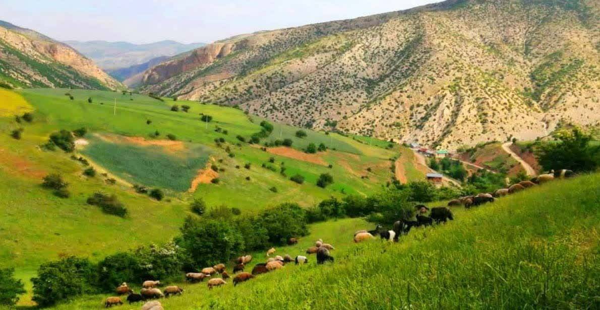 مناطق گردشگری