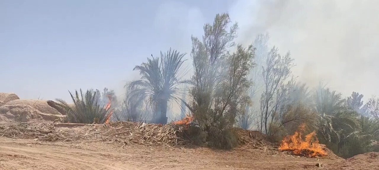 مهار آتش سوزی در یکی از نخلستان‌های حاشیه روستای مهرجان