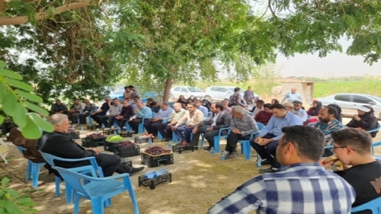 اولین جشنواره برداشت انگور در گتوند برگزار شد