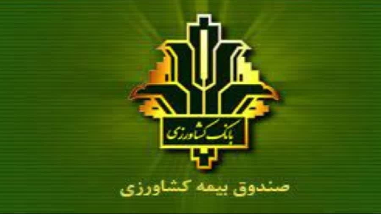 بیمه شدن ۱۵ هزار هکتار محصولات باغی و ۸۲ هزار هکتار محصولات زراعی پاییزه