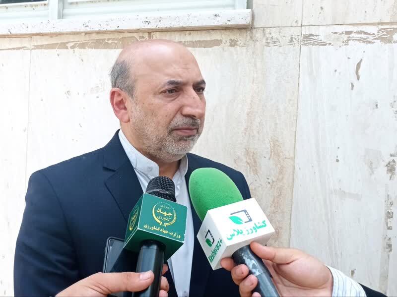 اصلاح و تهیه بذر در افزایش عملکرد تاثیر بسزایی دارد