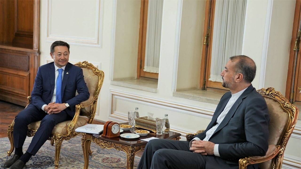 دیدار دبیرکل سیکا با امیرعبداللهیان
