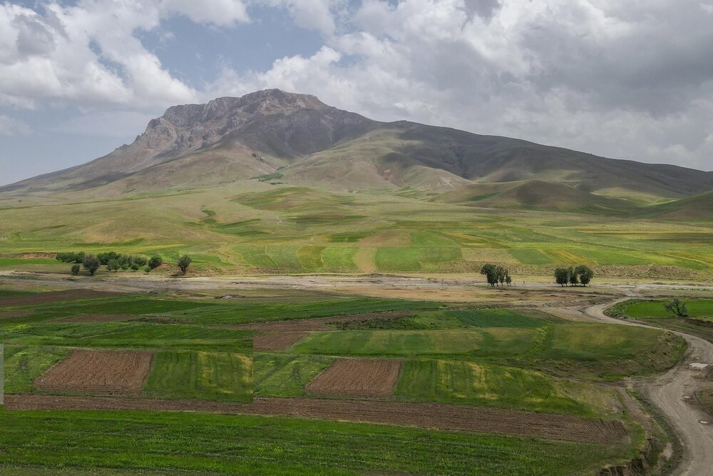 طبیعت بهاری تویسرکان طبیعت بهاری تویسرکان