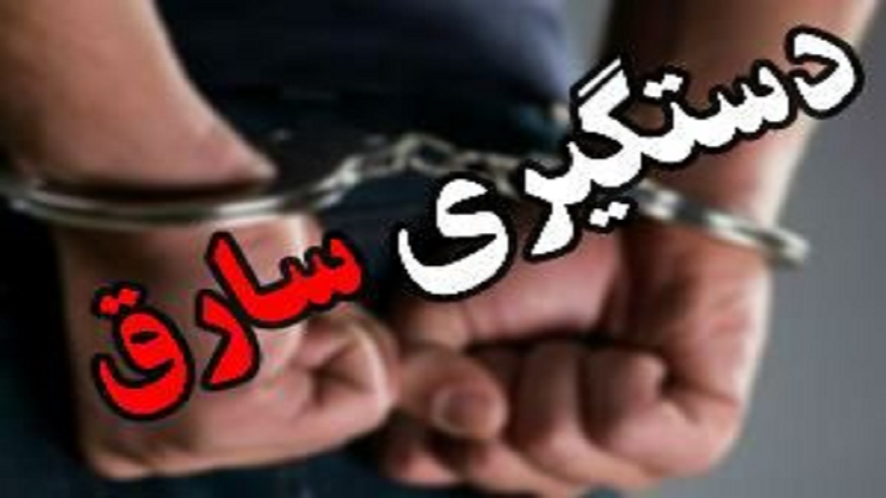 سارق تلفن‌های همراه شهروندان زاهدانی با اسلحه قلابی دستگیر شد