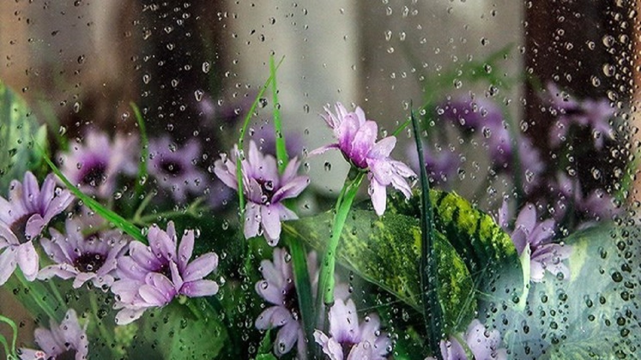 افزایش ۲۲ درصدی بارش ها در بهار