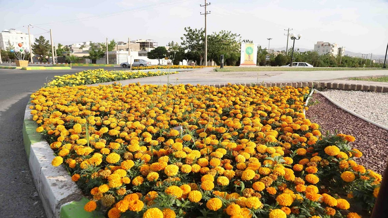 کاشت بیش از صد هزار درخت و گل فصلی در بیرجند