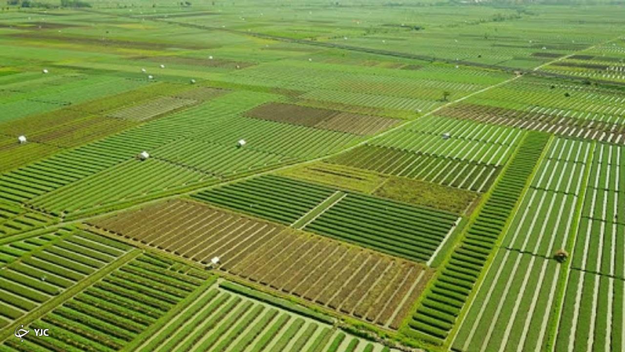 تسهیل مسیر صدور سند زمین‌های کشاورزی در مهاباد+ فیلم