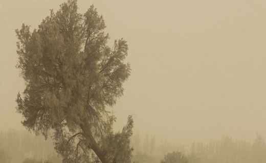 طوفان گرد و خاک در زابل