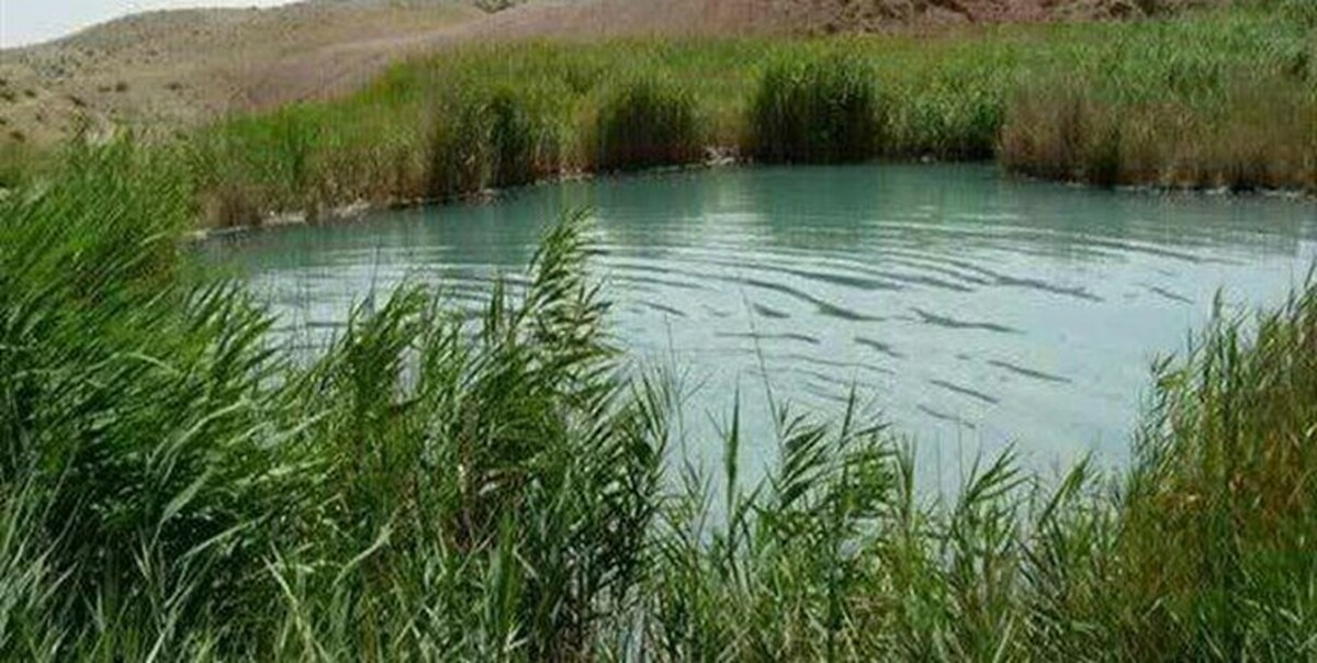 رودخانه دو رنگ در حوزه آمازون + فیلم