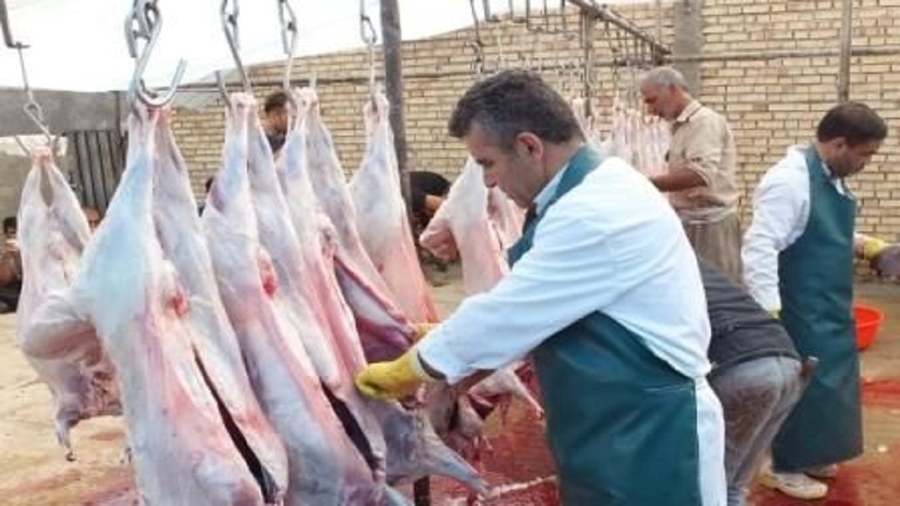 نظارت بهداشتی بیش از ۲۷ هزار راس لاشه و دام زنده قربانی در سیستان و بلوچستان انجام شد
