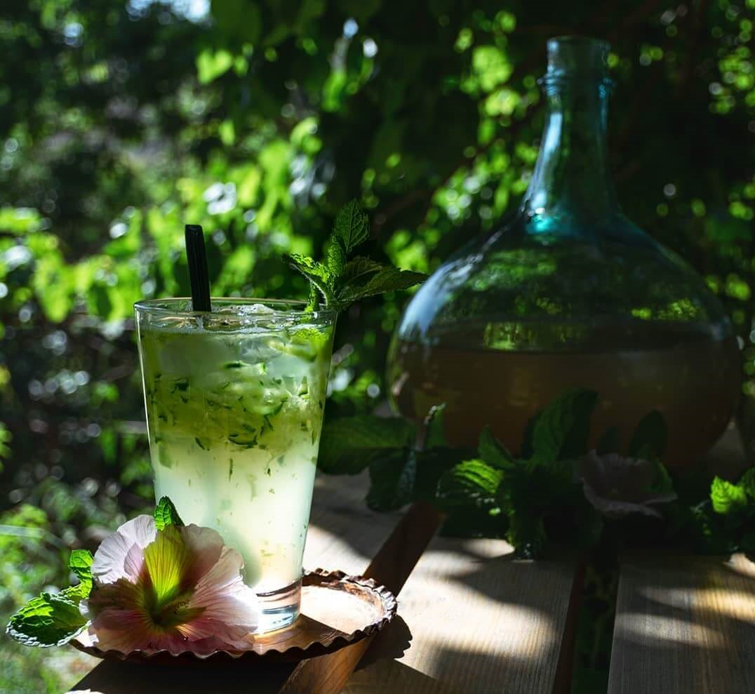 عرق کاسنی