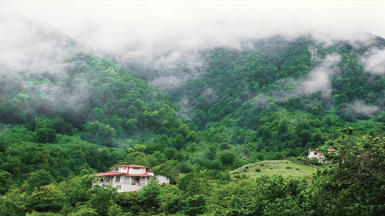 نمایی از یک روز بارانی در طبیعت لنگرود به وقت تابستان + فیلم