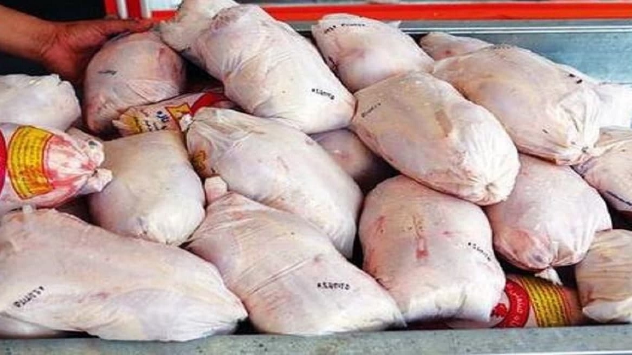 توقیف ۳۰۰کیلوگرم مرغ گرم در استان قزوین