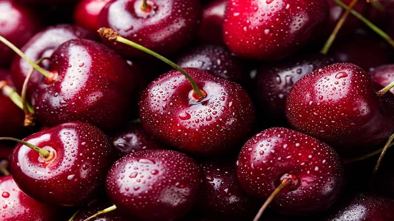 آمادگی اشنویه برای برگزاری جشنواره سراسری گیلاس