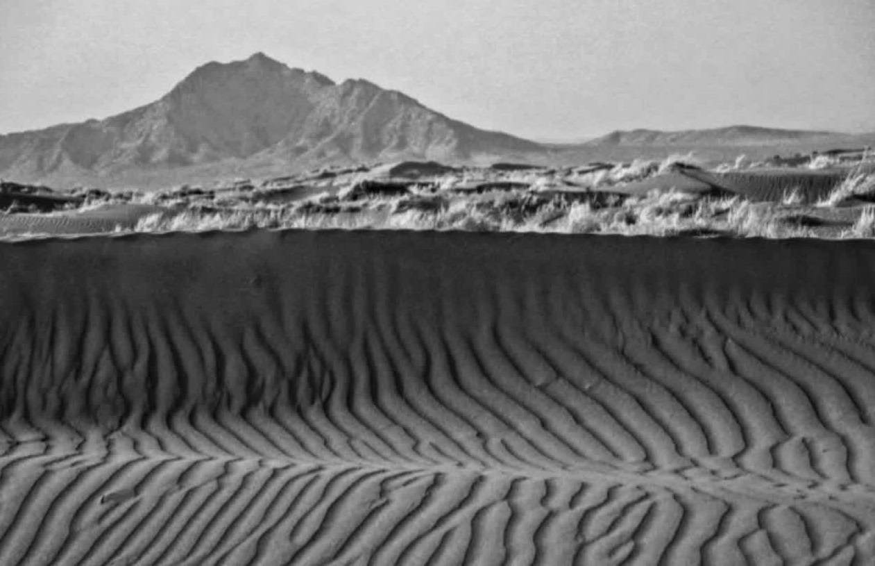 کویر