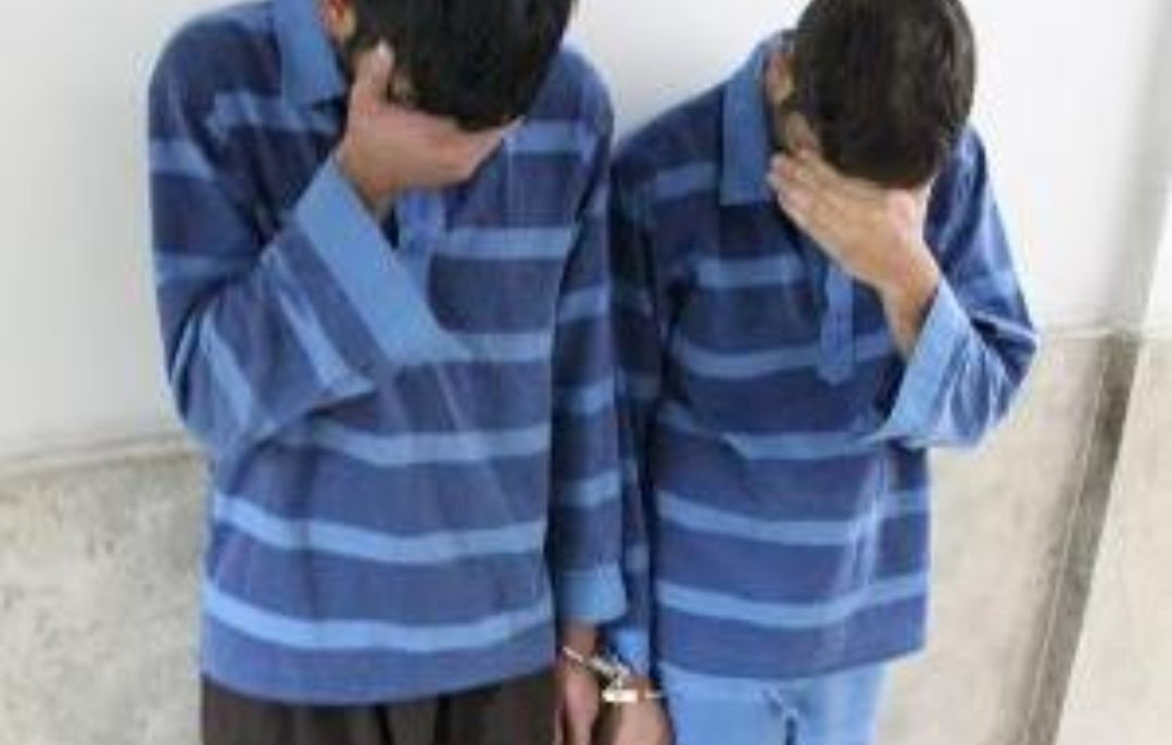 سارقان باغات تنکمان دستگیر شدند / اعتراف متهمان به ۱۸ فقره سرقت