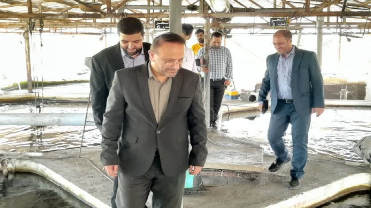 توسعه آبزی‌پروری رویکرد شیلات مازندران