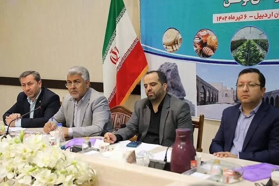 توسعه کسب‌وکار‌های روستایی استان اردبیل در دستور کار است