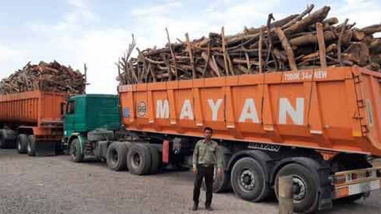 توقیف ۳ کامیون حامل چوب غیر مجاز در بم