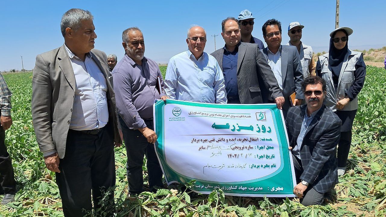 مجری طرح گیاهان قندی وزارت جهاد کشاورزی درتربت جام مطرح کرد