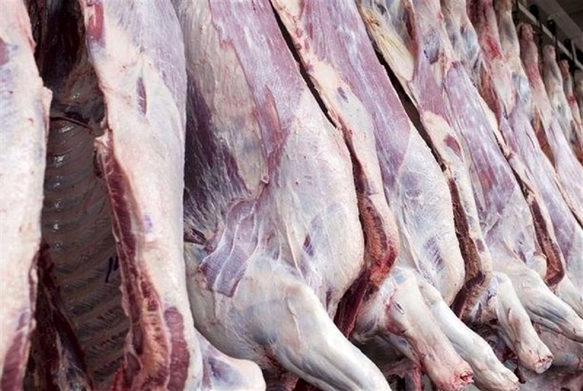 قیمت خرید گوشت گوسفندی در بازار