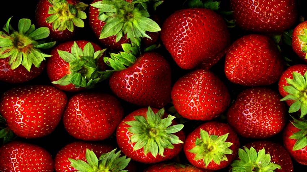 توسعه گلخانه&zwnj;&lrm; ها، مسیر شکوفایی کشاورزی چهارمحال و بختیاری