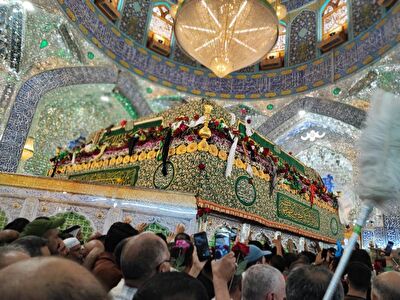 زائران در حرم امیر (ع)