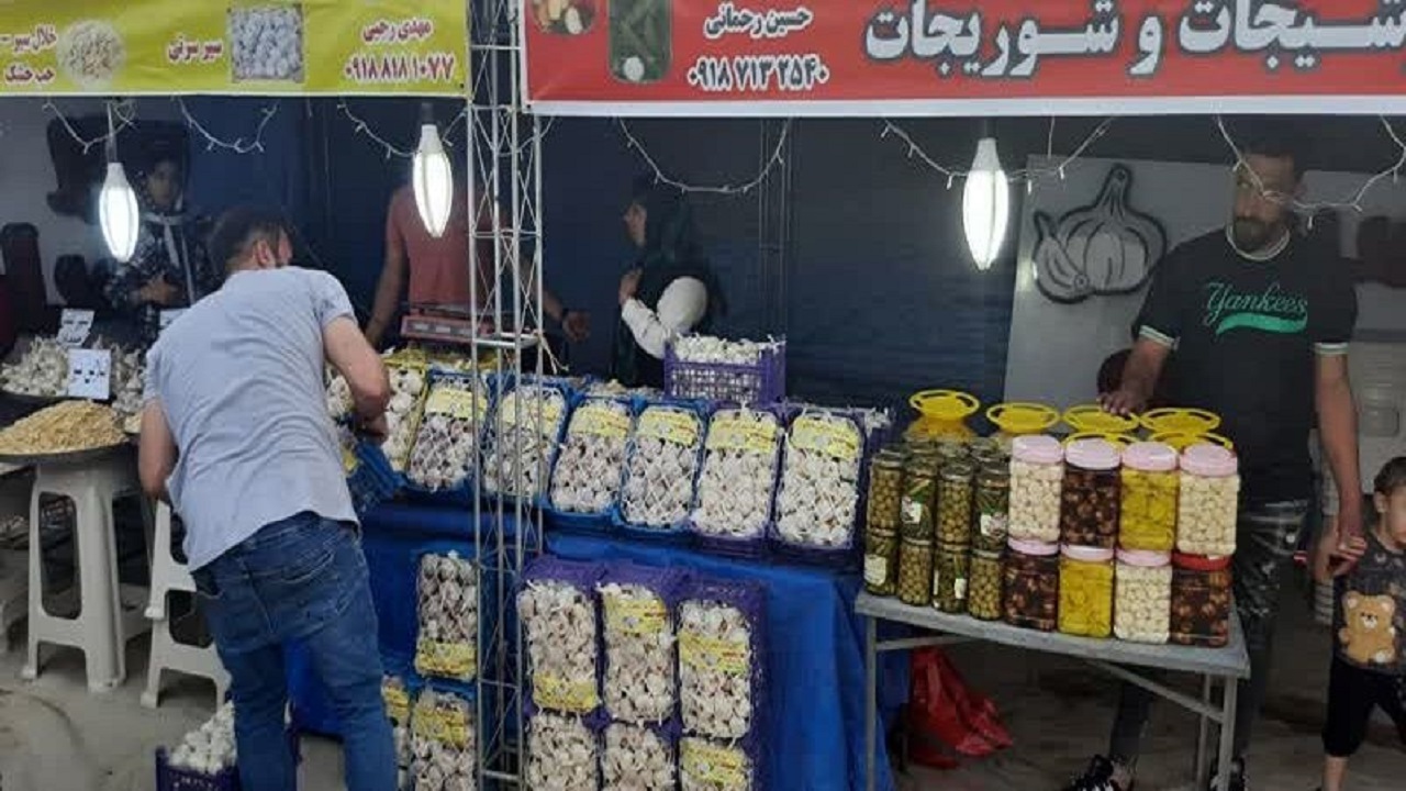 جشنواره ای با طعم سیر در همدان