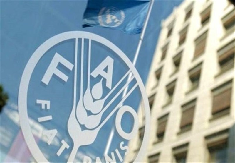 کاهش قیمت جهانی غذا به پایین ترین سطح خود رسید