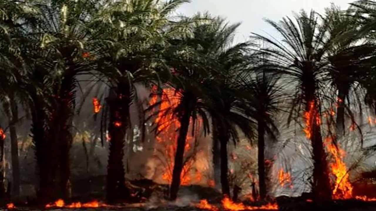 آتش سوزی در باغ‌های دهستان سیاهوی بندرعباس