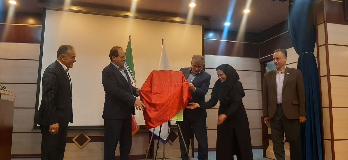 رونمایی از ۲ رقم جدید بذر خربزه